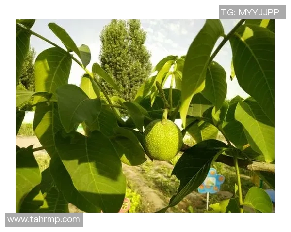 看完季前赛后我对主队新赛季的表现充满期待能否创造惊喜 看完季前赛后我对主队新赛季的表现充满期待能否创造惊喜